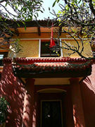 Xuân và Sách (Hoàng Thụy Lâm)