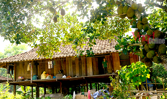 DSC 5772 (1)