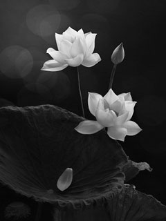 On receiving the flower bouquet