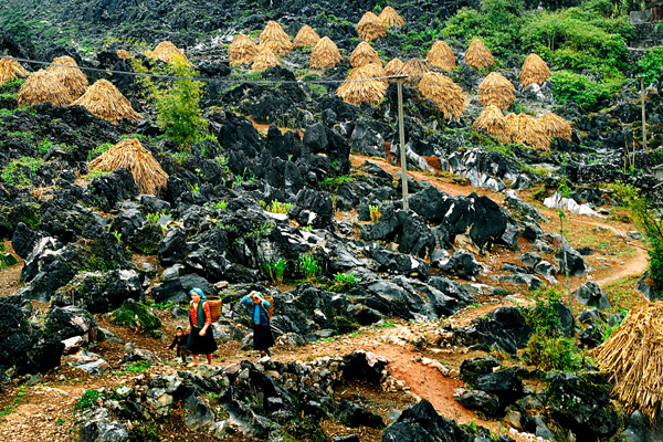 cao nguiyen da 2