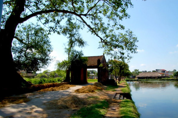 Quê nội