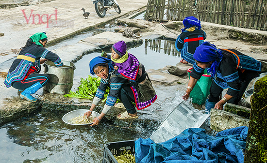Chuẩn bị thực phẩm cho lễ tảo mộ