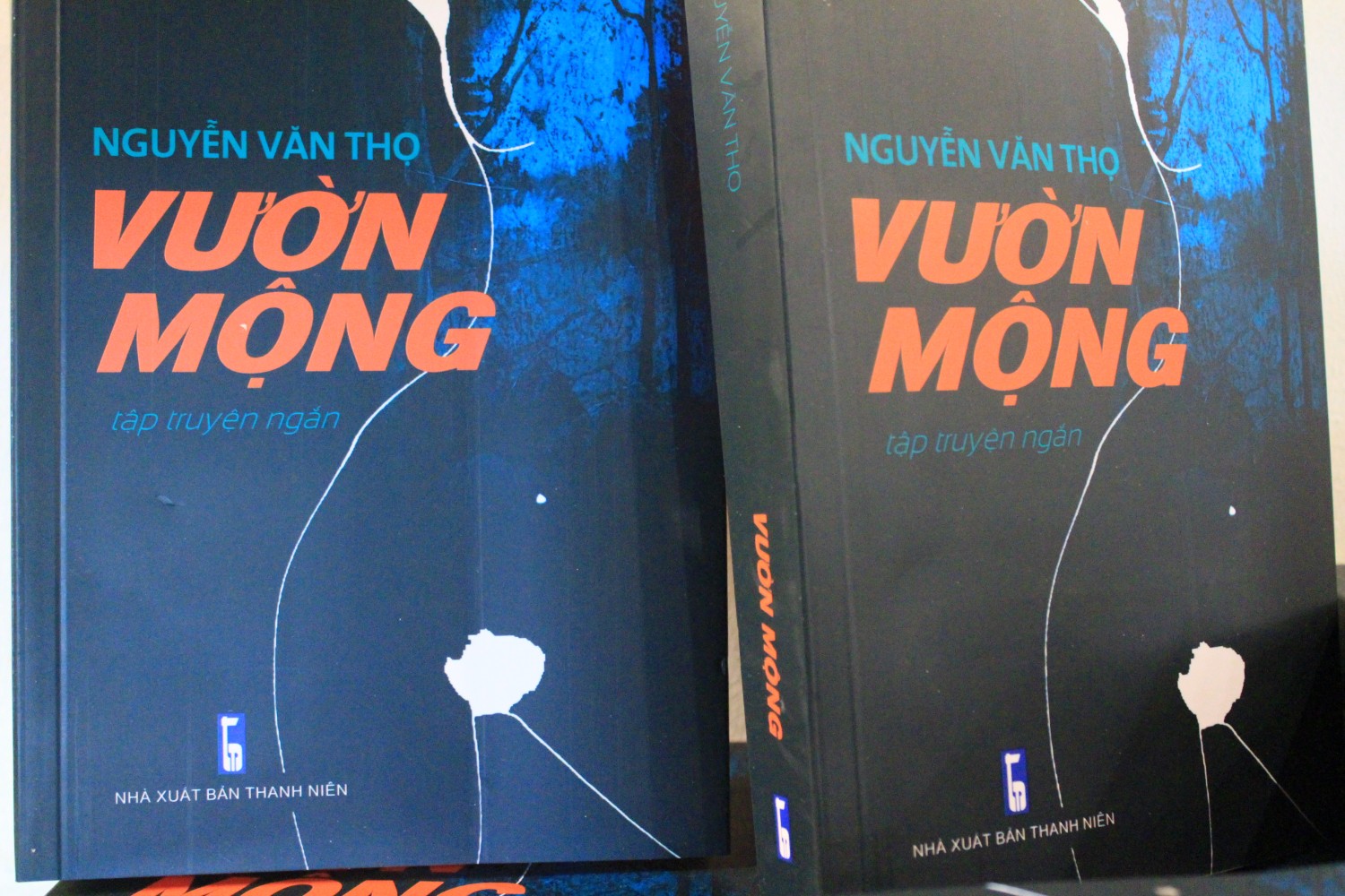Cuốn sách Vườn mộng