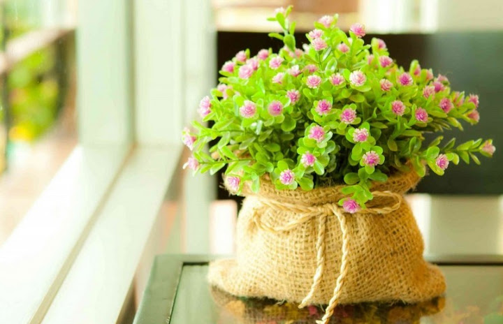 Kiểu nhân vật “nổi loạn” trong một số truyện ngắn nữ Việt Nam đương đại